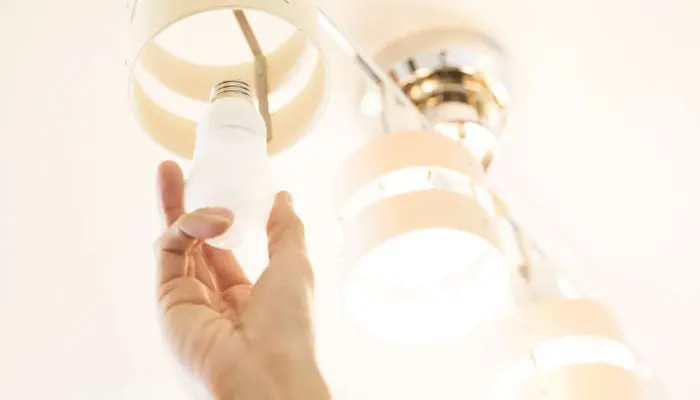 電気サウナバス